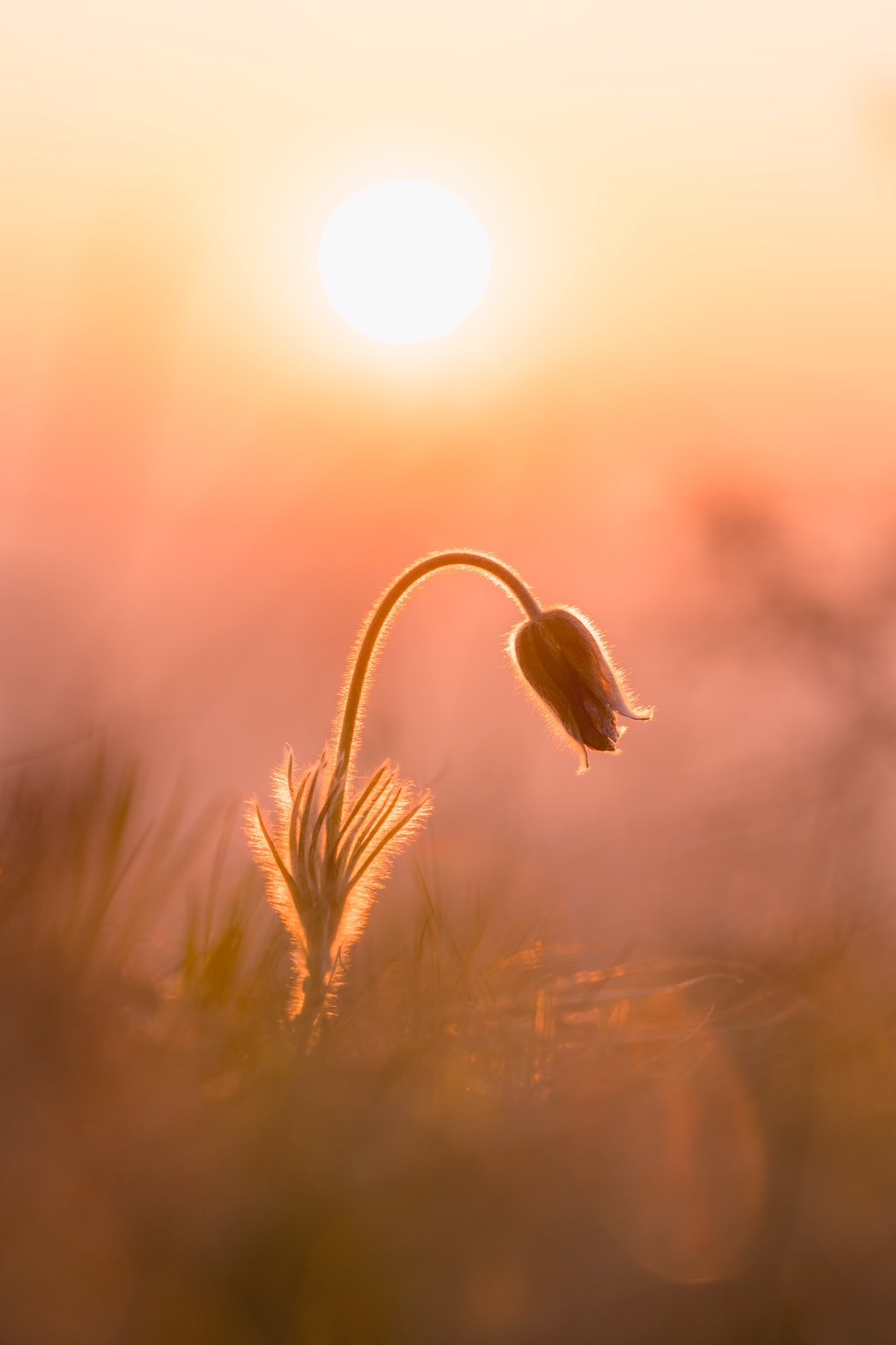 長輩圖背景素材